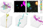 Blind demixing methods for recovering dense neuronal morphology from barcode imaging data